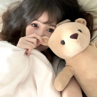 森林之北封面