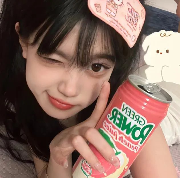 阿尔及尔的末代王后封面